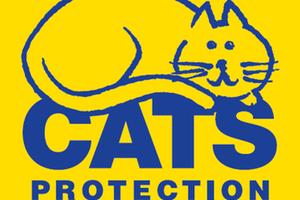 Cats Protection, Milton Keynes