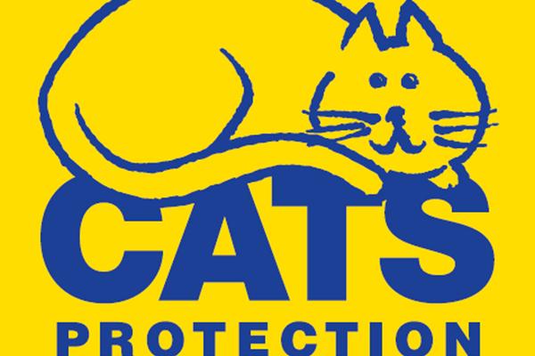1 - Cats Protection, Milton Keynes